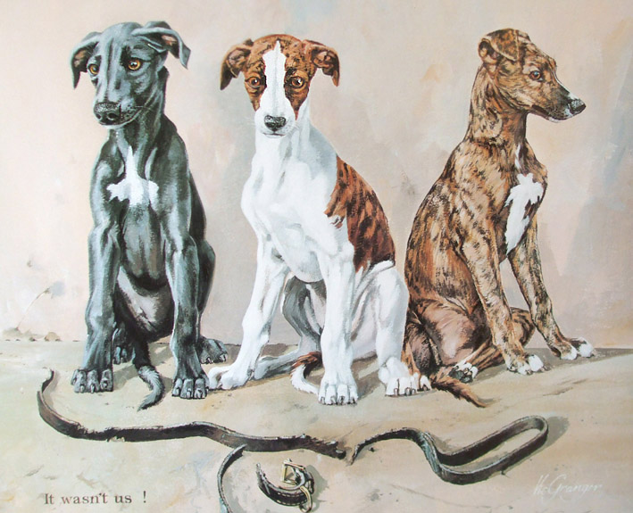 Greyhound Pups Limited Edition Print By Canine Artist Vic Granger